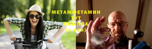 ПСИЛОЦИБИНОВЫЕ ГРИБЫ Горнозаводск