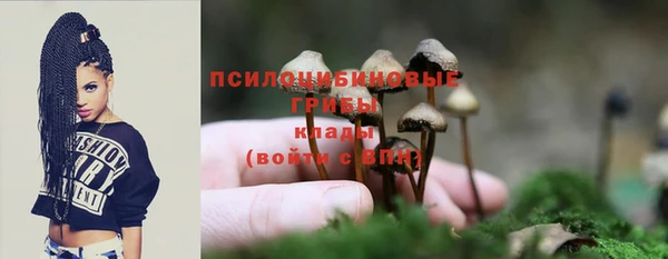 ПСИЛОЦИБИНОВЫЕ ГРИБЫ Горнозаводск