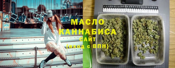 меф Горняк