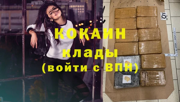 хмурый Кропоткин