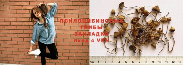 меф Горняк