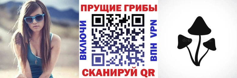 Галлюциногенные грибы MAGIC MUSHROOMS  дарнет шоп  OMG tor  Октябрьск 